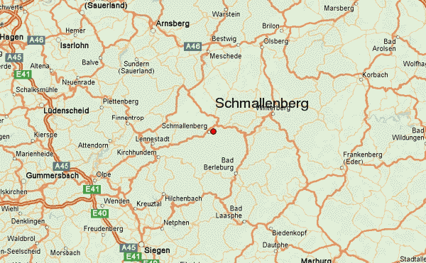 Single schmallenberg